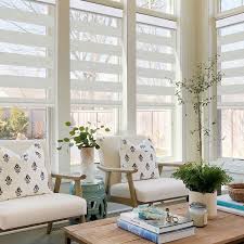 Elegant Zebra Shades